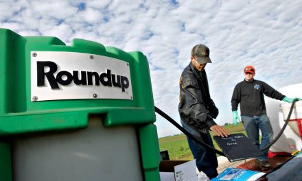 Italy Just Banned Monsanto’s Top-Selling Herbicide From All Public Places