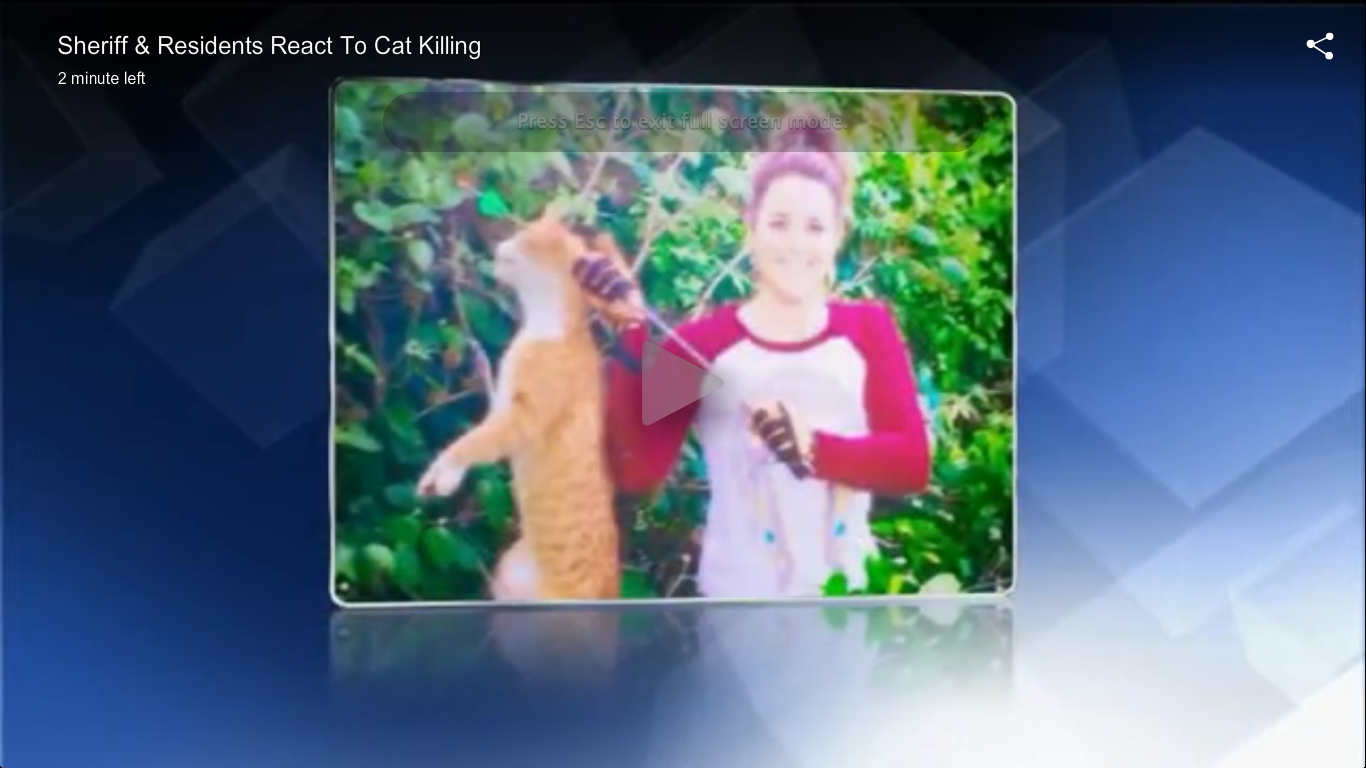 VIDEO: Texas Veterinarian fired for posting pic of PET cat she proudly killed with bow & arrow