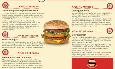 What Happens One Hour After Eating A Big Mac?