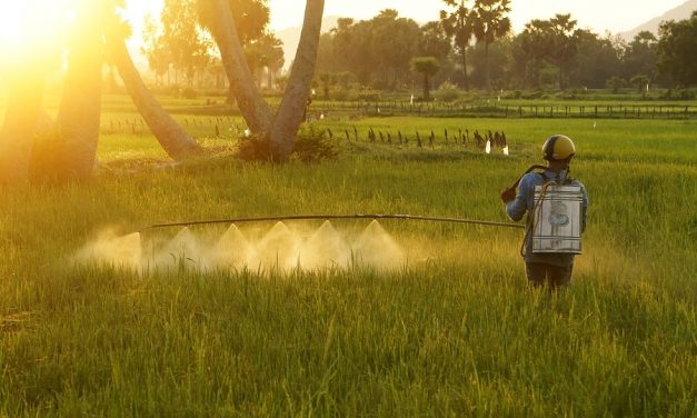 Court in France Confirms Farmer Was Poisoned by Monsanto Herbicide