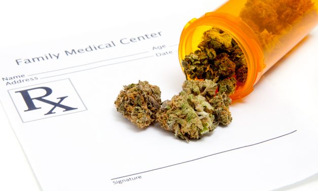 If Cannabis Can Kill “Incurable” Brain Cancer, Why Is It Criminalized?