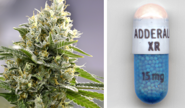 Groundbreaking Research: Cannabis Treats ADHD Better Than Adderall