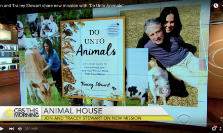 Jon Stewart Starts Sanctuary with Wife for Abused Farm Animals