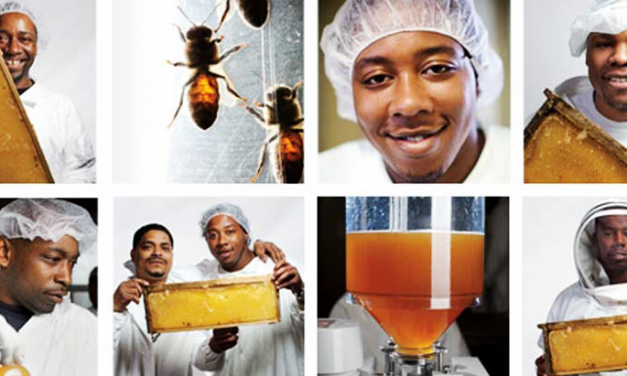 Entrepreneur Puts Prisons to Shame, Turns Ex-Cons into Bee-Keepers – Keeping them Out of Jail