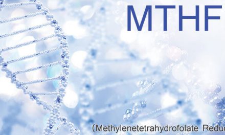 What is an MTHFR gene mutation?