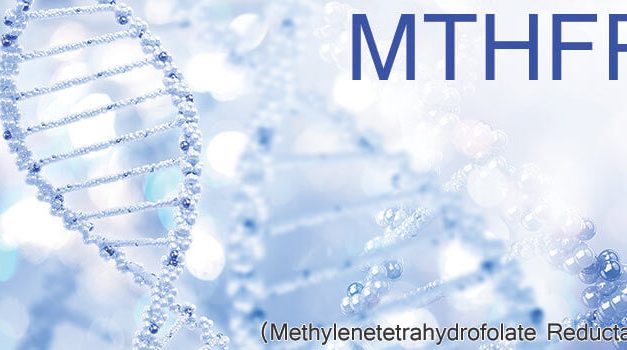 What is an MTHFR gene mutation?