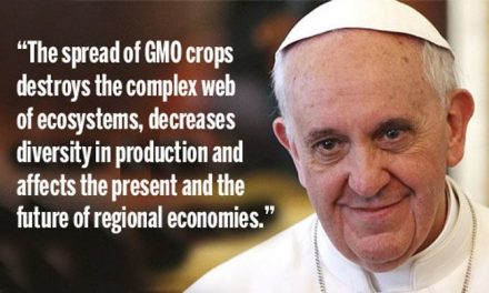 Why The Pope Just Slammed GMOs
