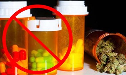 Big Pharma Shaking In Their Boots As 80% Of Cannabis Users Give Up Prescriptions Pills For Good