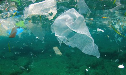 Oceans to have more plastic than fish by 2050