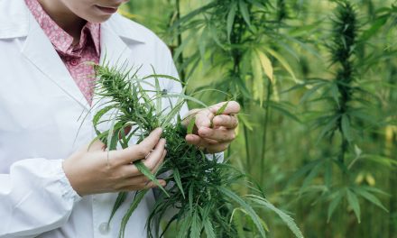 FDA “Outlawed” CBDs And Hemp Oil Extracts- Claims All Plant Molecules Belong To Big Pharma