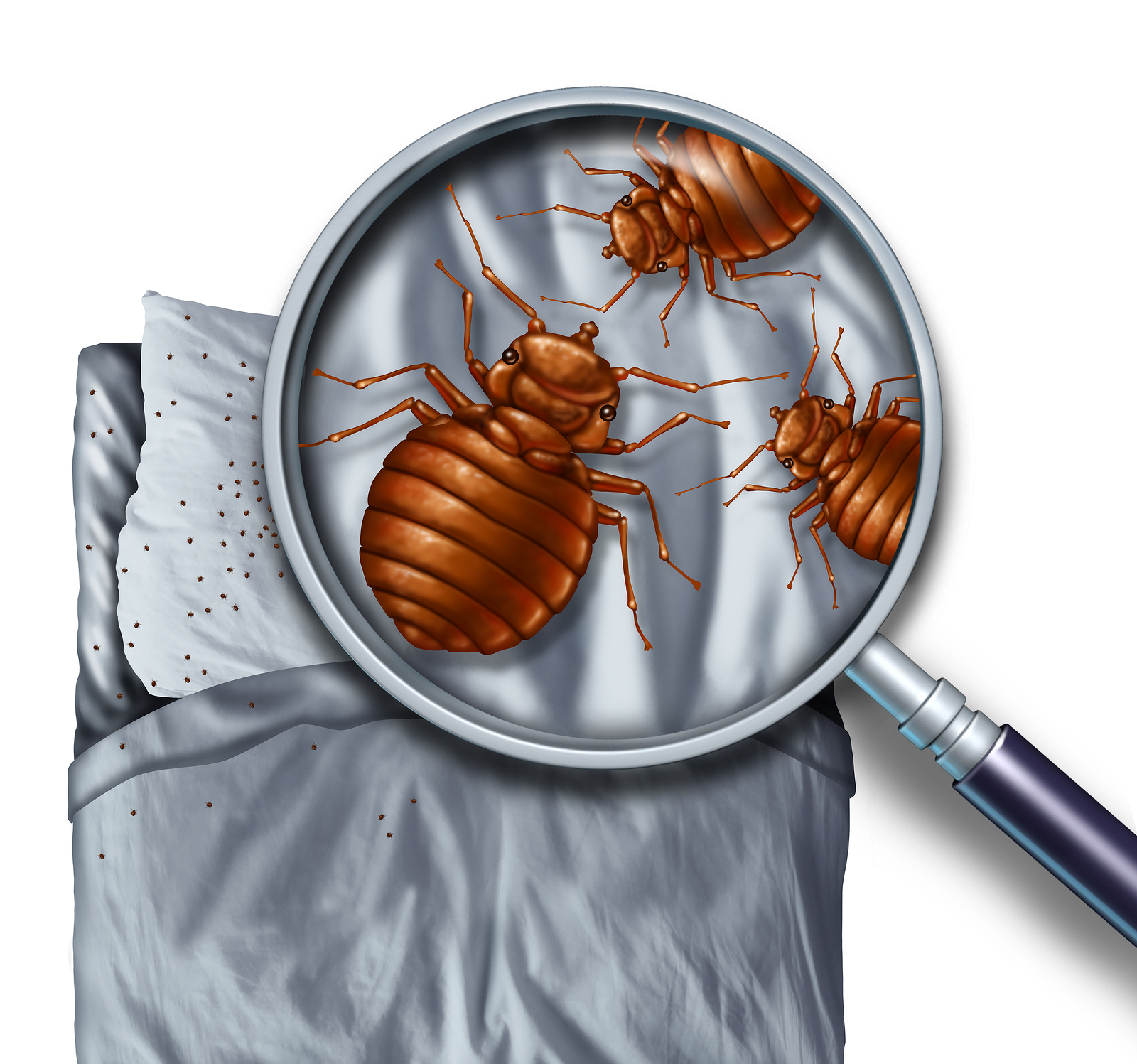 Warning For Travelers: Don’t Let the Bed Bugs Bite