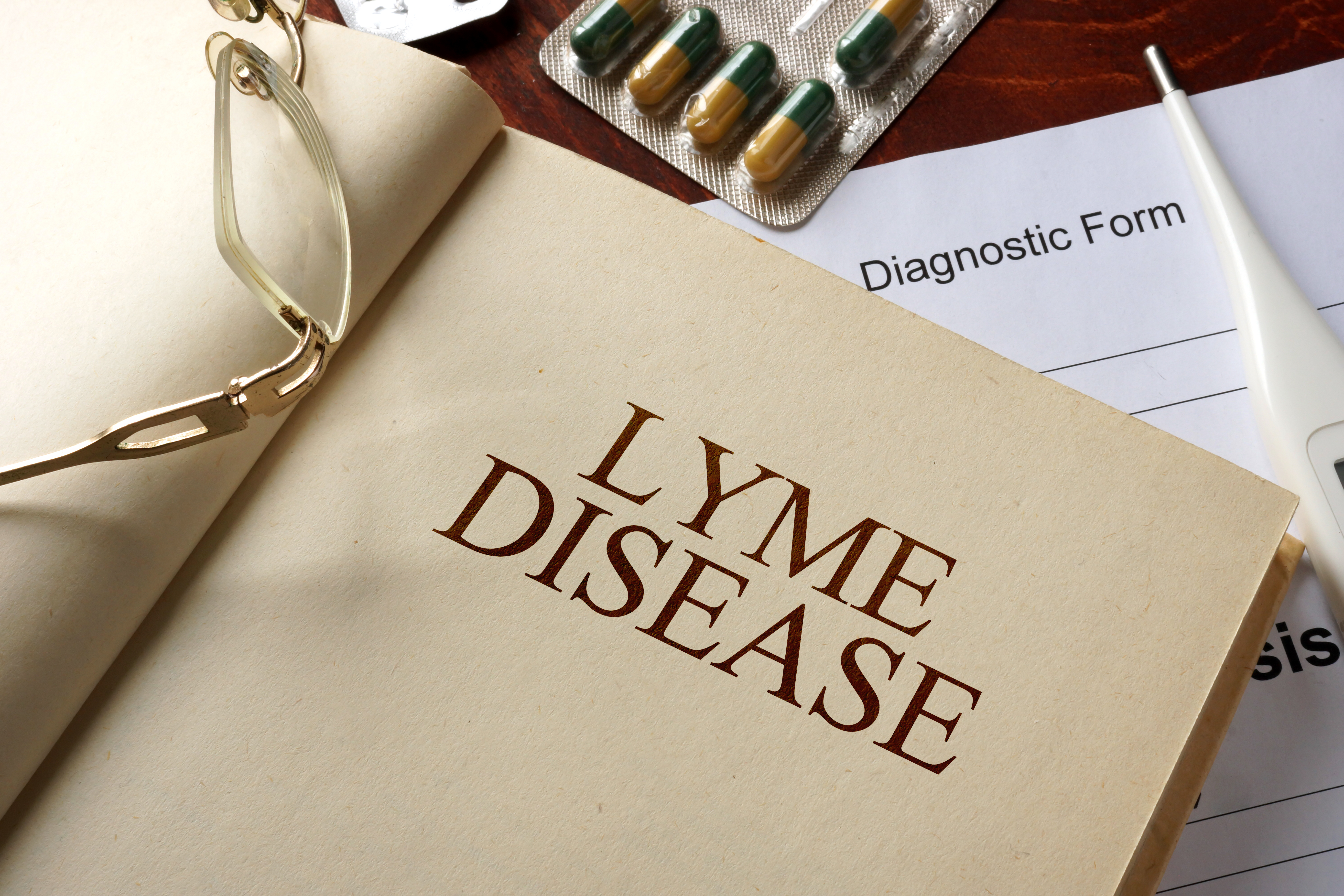 New studies are learning so much about Lyme Disease.