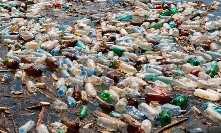 Guardian: Scientists accidentally create mutant enzyme that eats plastic bottles