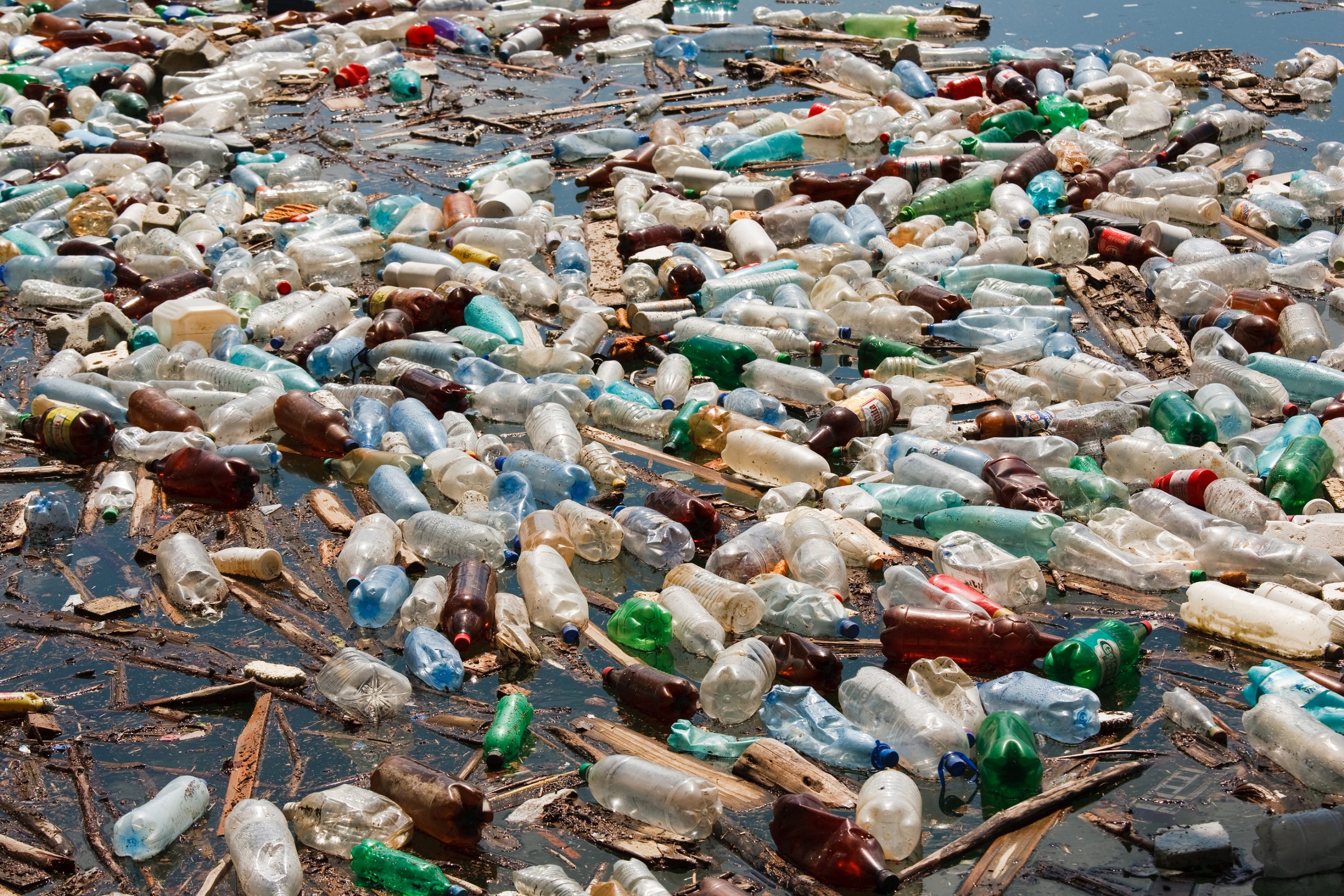 Guardian: Scientists accidentally create mutant enzyme that eats plastic bottles