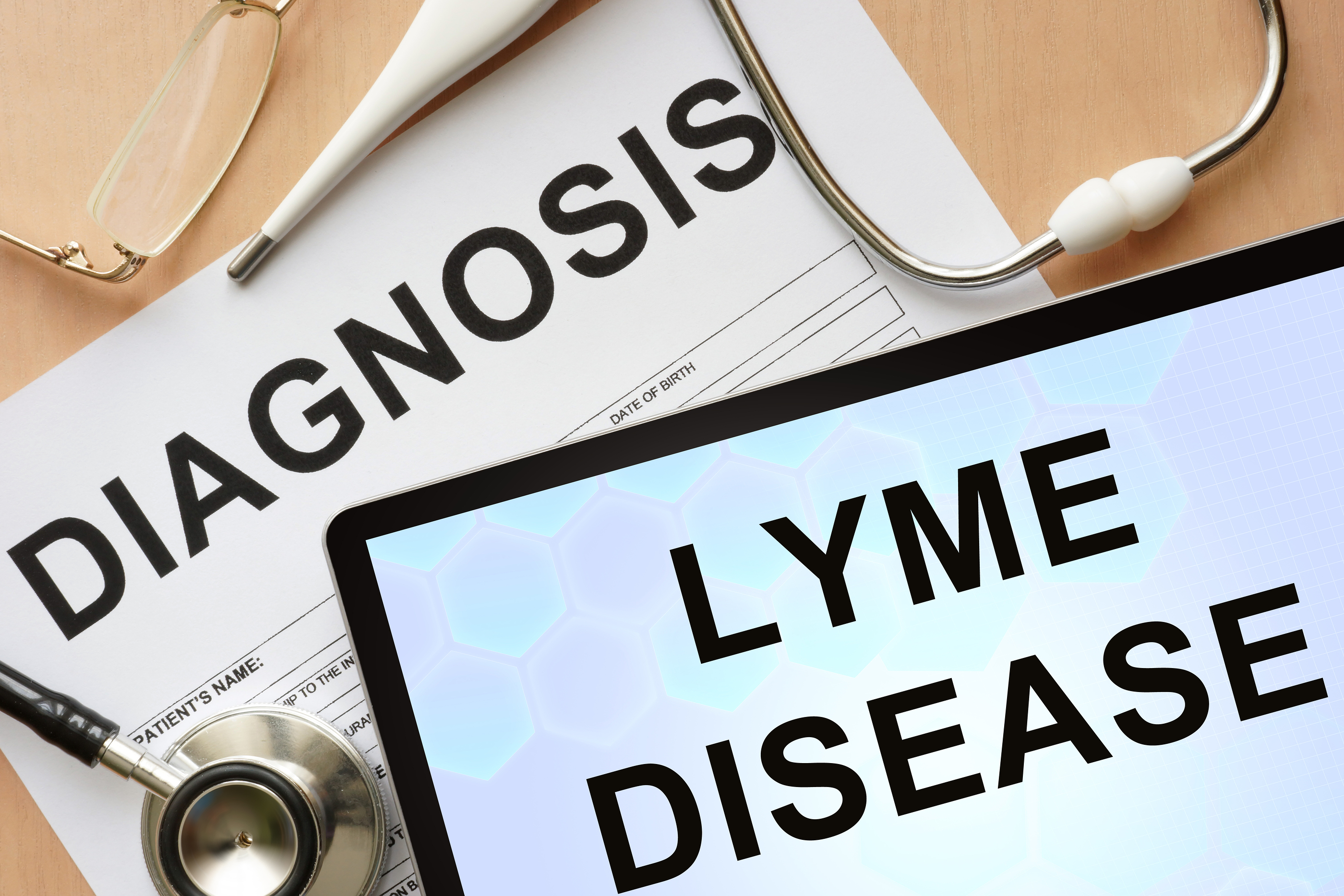 lyme-is-infectious-equivalent-of-cancer