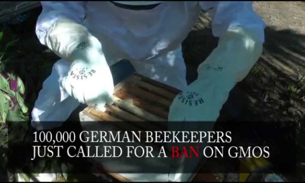 100,000 German Beekeepers Just Called For A Ban On GMOs