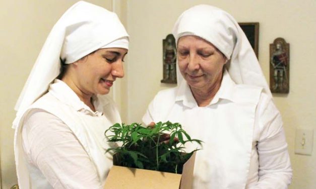 Group Of Nuns Growing And Selling Marijuana Illegally, Making $400,000 Annually