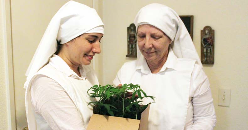Group Of Nuns Growing And Selling Marijuana Illegally, Making $400,000 Annually