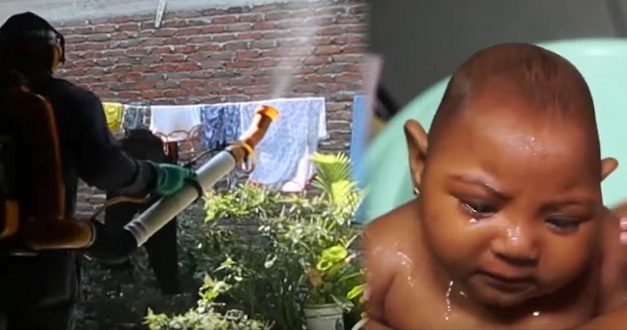 Doctors name Monsanto’s larvicide as potential cause of microcephaly in Brazil