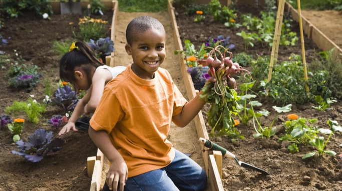 The Importance Of Getting Kids Into The Garden