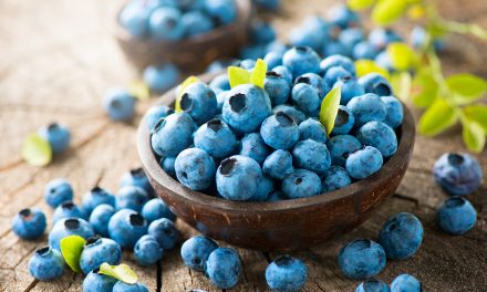 Blueberries May Help Prevent Alzheimer’s, New Study Shows