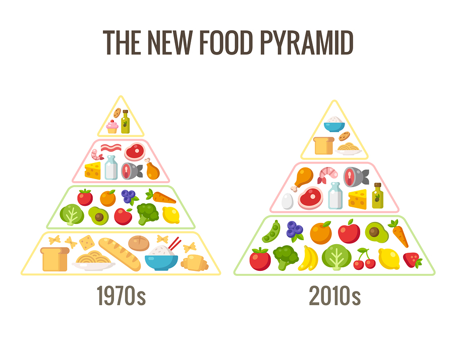 bigstock The New Food Pyramid 102743597