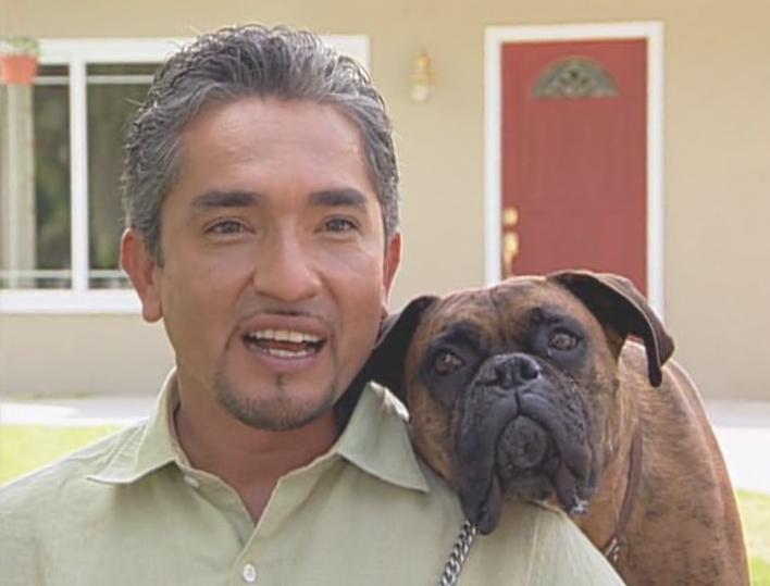 NBC: Cesar Milan, The Dog Whisperer, Under Investigation for Alleged Animal Cruelty