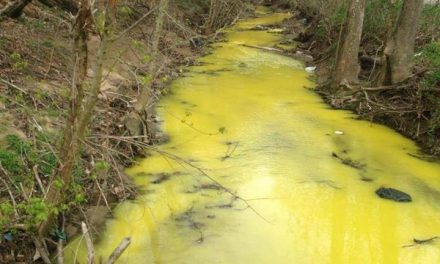 Erin Brockovich digs deep to discover why Kentucky creek turned yellow