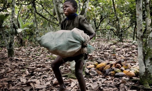 Hershey, Nestle And Mars Have Been Using Child Slaves To Make Your Chocolate. See For Yourself.