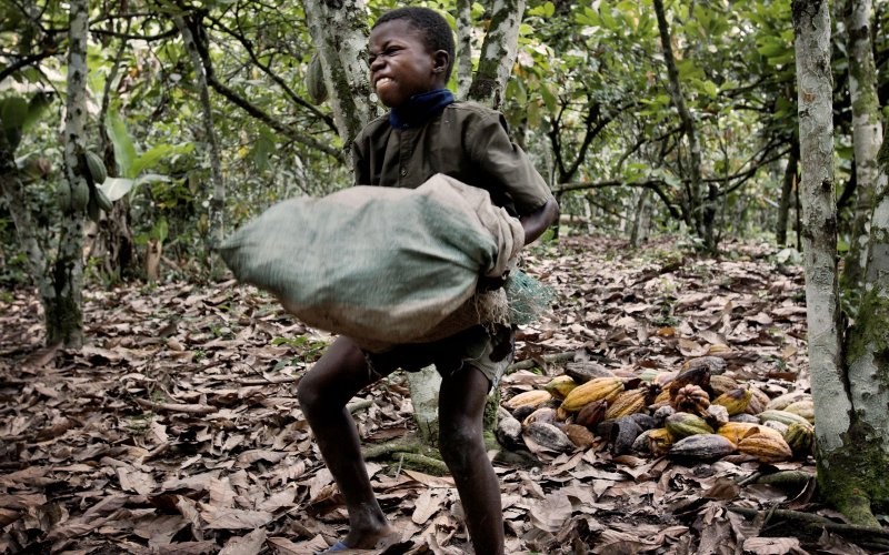 Hershey, Nestle And Mars Have Been Using Child Slaves To Make Your Chocolate. See For Yourself.