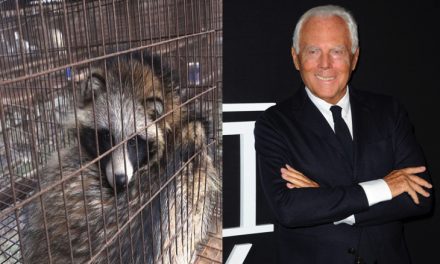 Armani Announces That They Will Never Use Fur In Their Fashion Lines Again