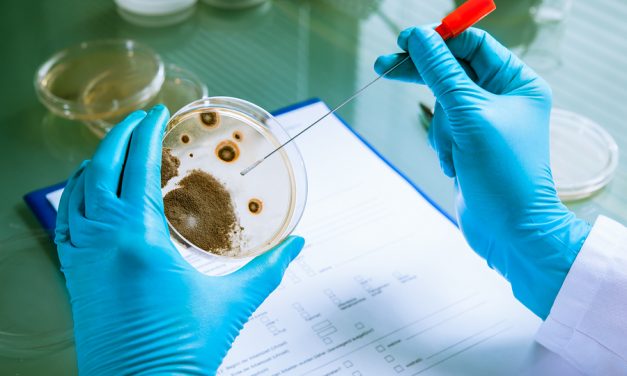 Contaminated Frozen Food Outbreak! Millions of Products Recalled Across America Due to Listeria