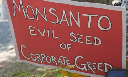 Corporate Greed: Monsanto halts new soybean seeds in Argentina as they fight over money