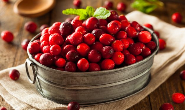 Not All Cranberry Supplements Prevent Urinary Tract Infections