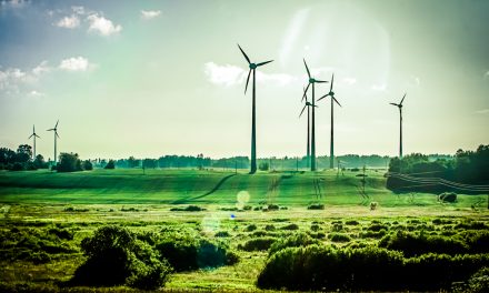 Germany Produced So Much Green Energy, It Had to Pay People to Use It
