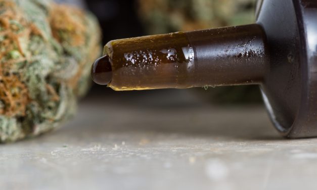 Watch What Happens When Cannabis Is Injected Into Cancer Cells. This Is Mind Blowing!