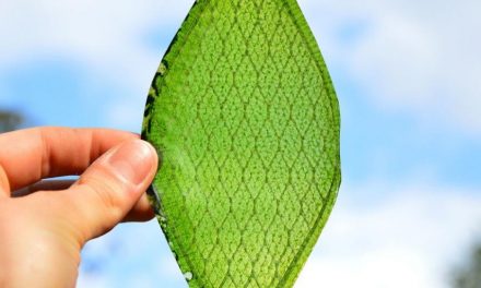 Bionic leaf can turn sunlight and water into free, liquid fuel 10x faster than plants