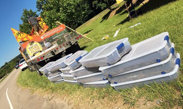 2.6 million dead bees delivered to EPA headquarters in protest