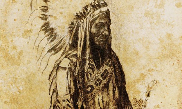 12 Plants Native Americans Used to Cure EVERYTHING (From joint pain to cancer)