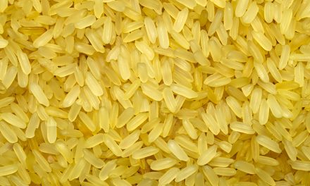Despite Dumping Millions into GMO Rice, Study Shows they Still Can’t Compete With Natural Version