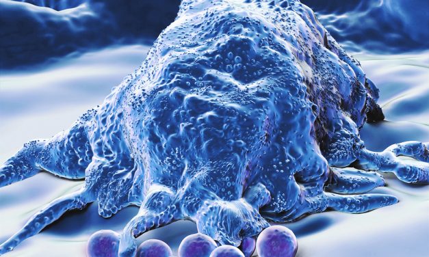 Macrophages, The Little Helpers That Heal Broken Blood Vessels