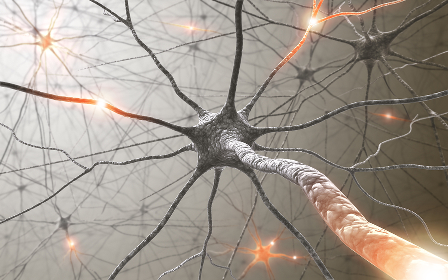 Rewiring Your Brain: NEUROFEEDBACK Goes Mainstream