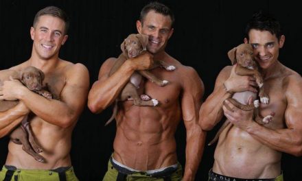 Firefighters Pose With Puppies To Benefit Charity (and your libido)!