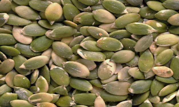 Top 11 Science-Based Health Benefits of Pumpkin Seeds