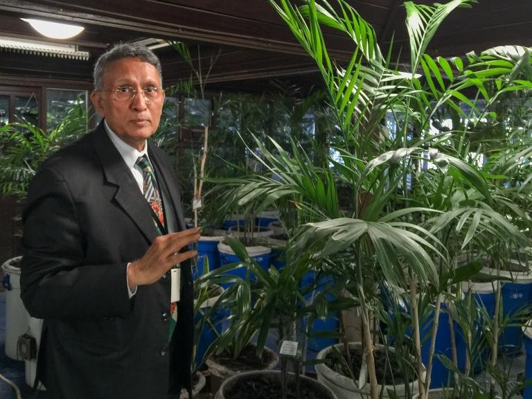 Activist develops way to oxygenate your house using plants
