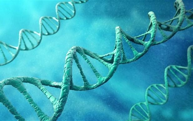 First genetically modified humans could exist by 2017
