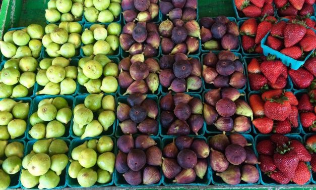 The organic industry is breaking growth records in 2016