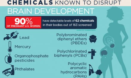 Report: A host of common chemicals endanger child brain development