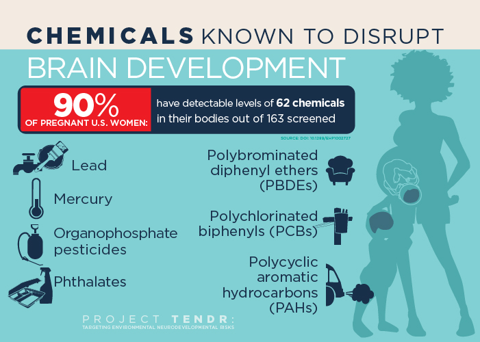 Report: A host of common chemicals endanger child brain development