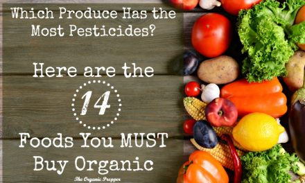 Which Produce Has the Most Pesticides? Here are the 14 Foods You MUST Buy Organic